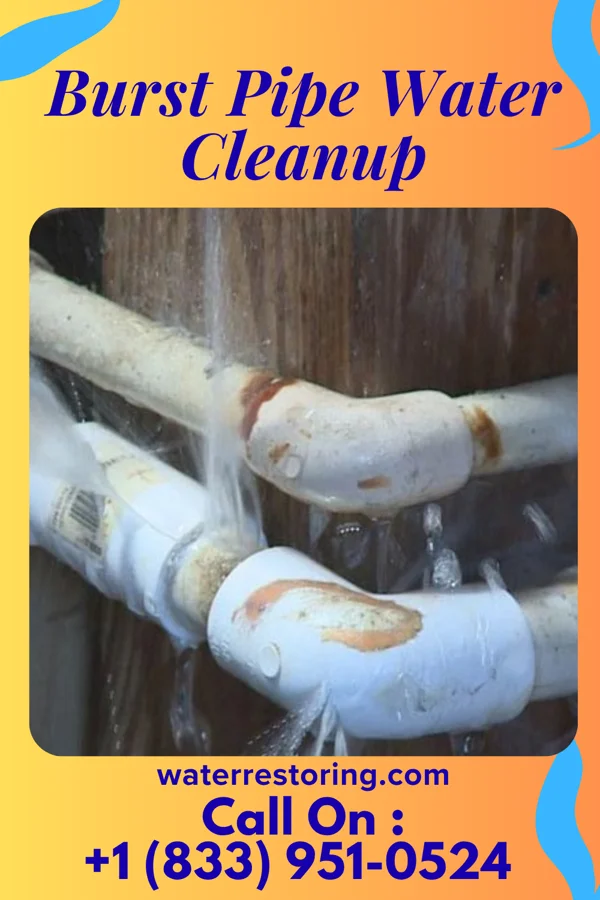 Burst Pipe Water Cleanup in Ashland, WI