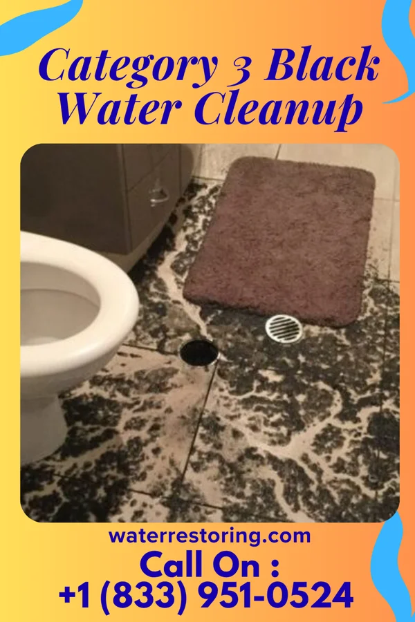 Category 3 Black Water Cleanup in Ashland, WI