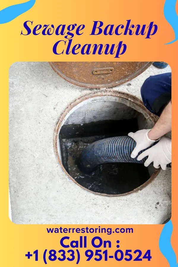 Sewage Backup Cleanup in Ashland, WI
