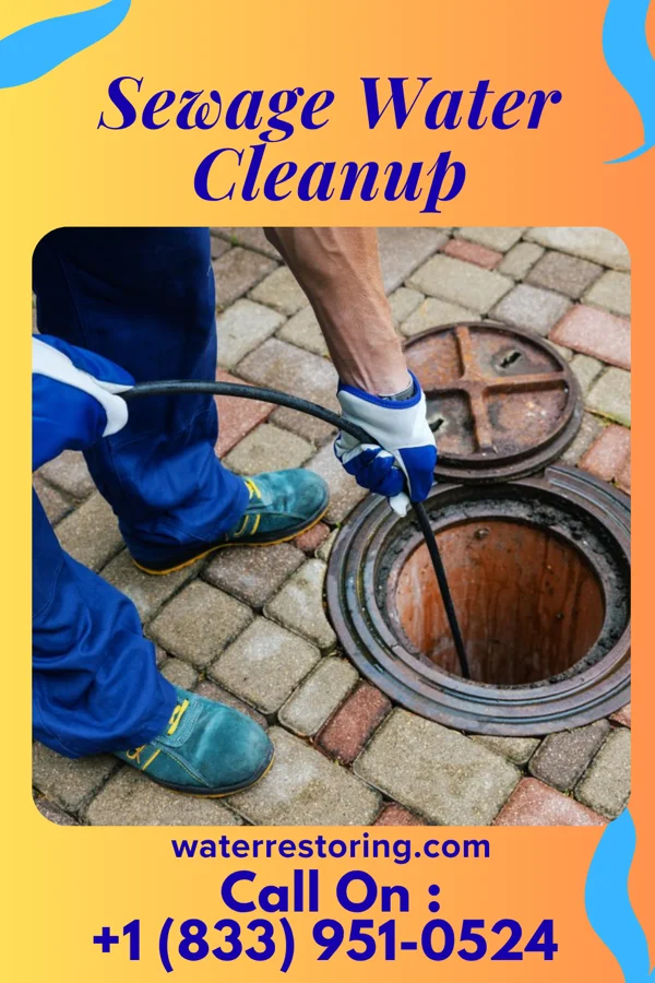 Sewage Water Cleanup in Ashland, WI
