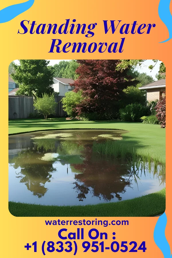 Standing Water Removal in Ashland, WI